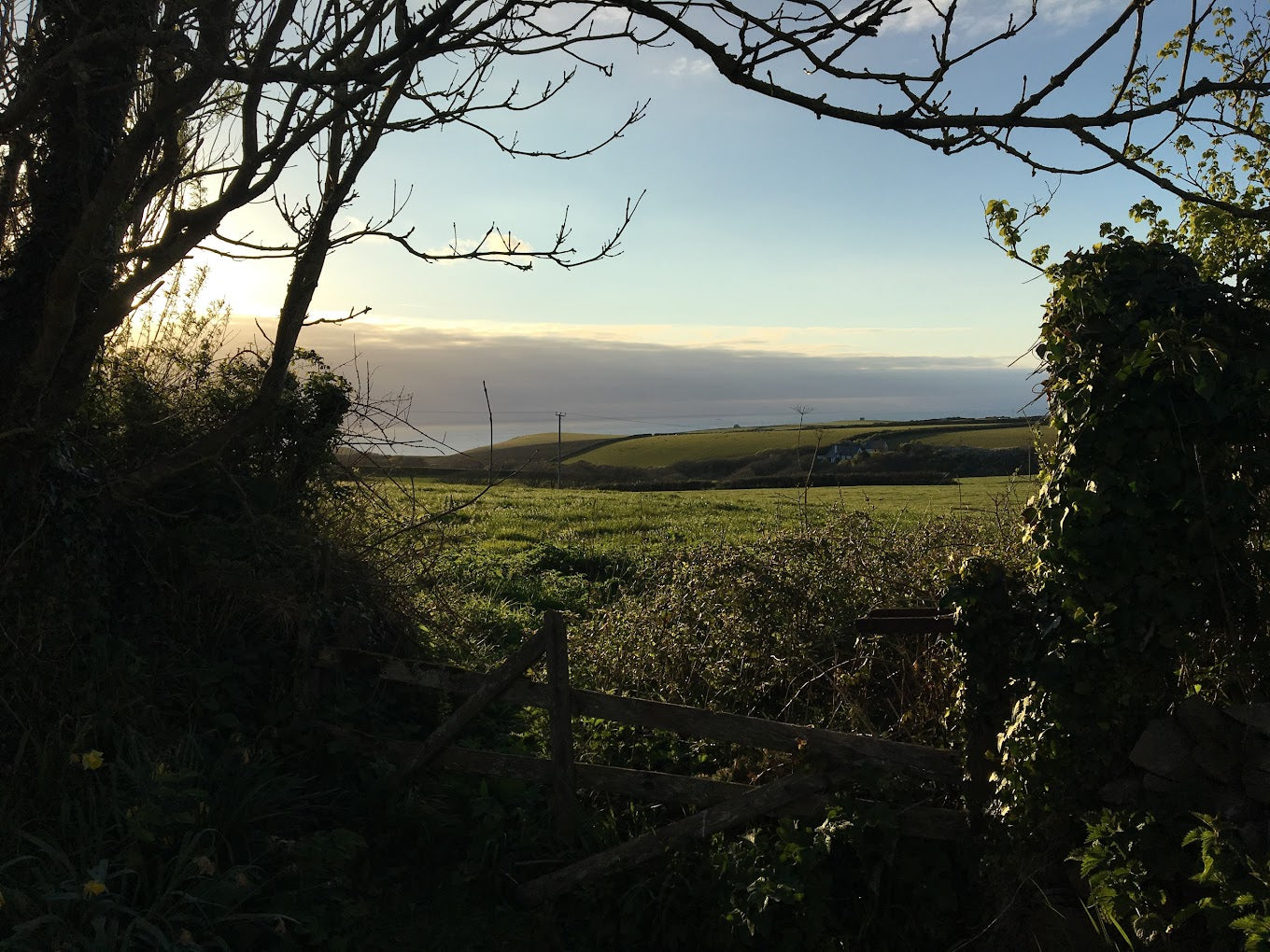 Yoga Retreat in North Devon: Walking, Rest & Wild Swimming in the Sea