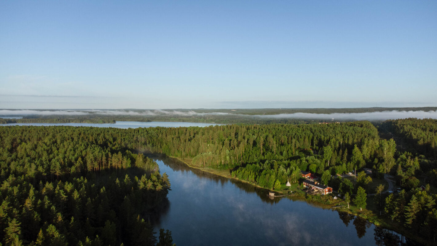 Wild Sweden: A 4 day yoga, breathwork, swimming and sauna retreat in the forest